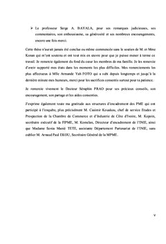 Environnement perçu et orientation stratégique des entreprises