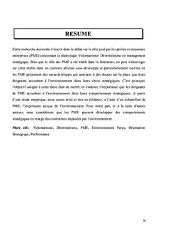 Environnement perçu et orientation stratégique des entreprises