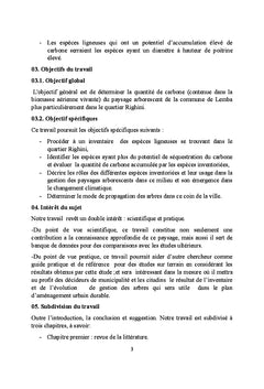 Les villes de demain
