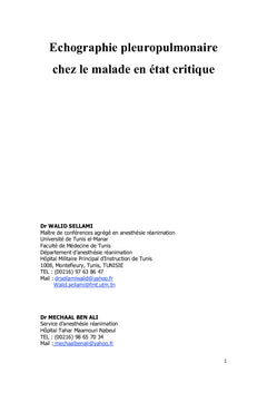 Echographie pleuropulmonaire chez le malade en état critique