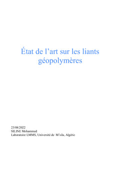 État de l'art sur les liants géopolymères
