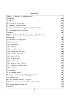 État de l'art sur les liants géopolymères