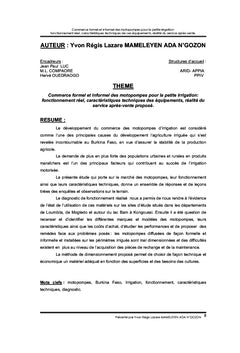 Commerce des motopompes pour la petite irrigation au Burkina Faso
