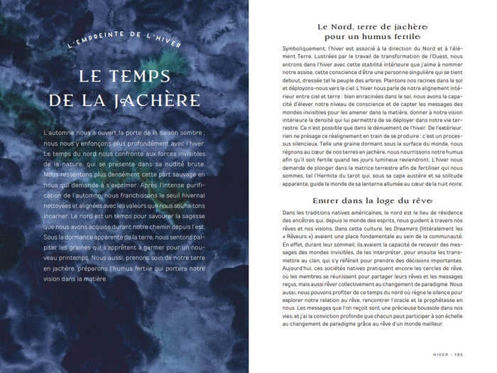 Sagesse sauvage - Cheminer au rythme de la Terre