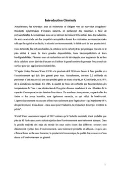 Développement de nouveaux matériaux à base de la cellulose