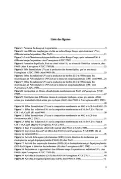 Mécanismes de résistance enzymatique et membranaire au traitement UV