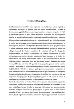 Mécanismes de résistance enzymatique et membranaire au traitement UV
