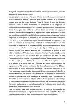 Mécanismes de résistance enzymatique et membranaire au traitement UV