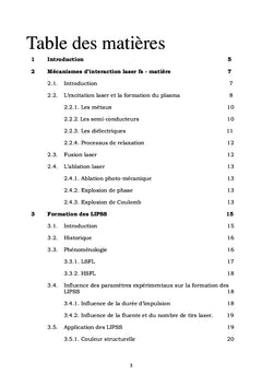 THEORIES DE FORMATION DES STRUCTURES DE SURFACE PÉRIODIQUES INDUITES