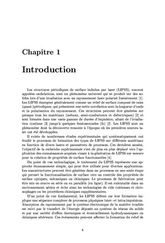 THEORIES DE FORMATION DES STRUCTURES DE SURFACE PÉRIODIQUES INDUITES