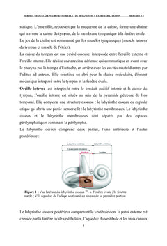 SURDITE NEONATALE NEUROSENSORIELLE: DU DIAGNOSTIC A LA REHABILITATION