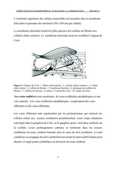 SURDITE NEONATALE NEUROSENSORIELLE: DU DIAGNOSTIC A LA REHABILITATION