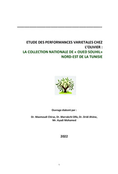Étude des Performances Variétales chez l'Olivier en Tunisie