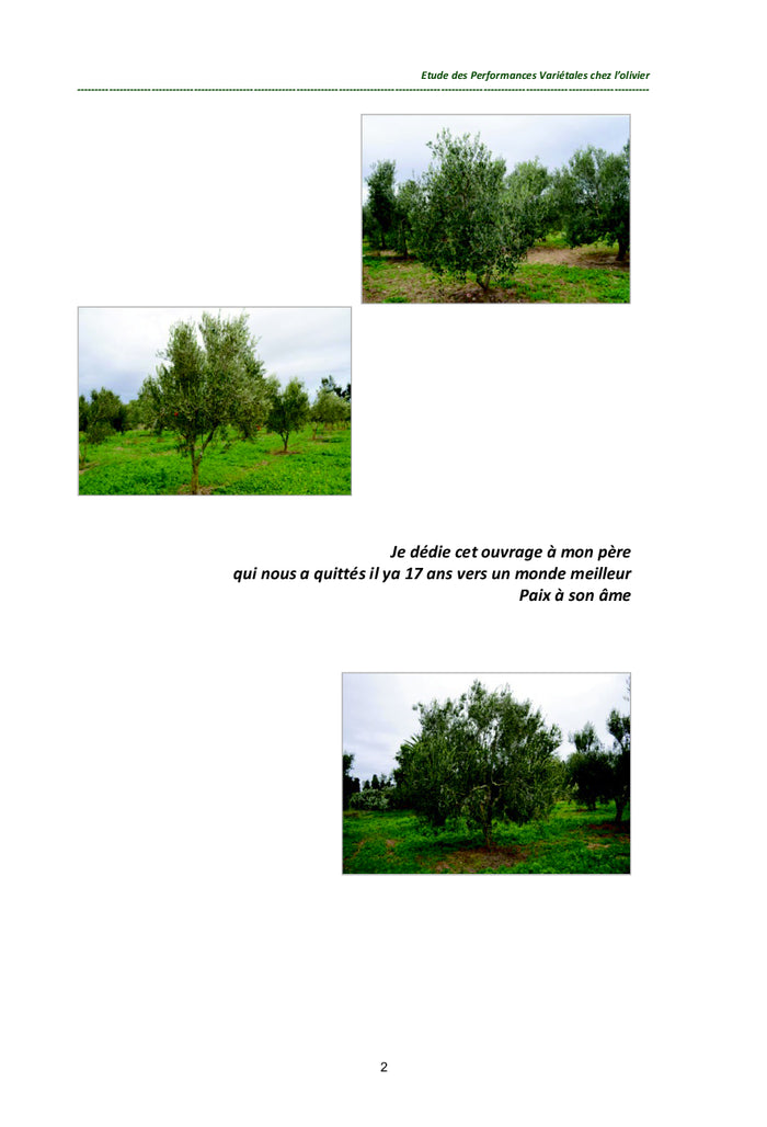 Étude des Performances Variétales chez l'Olivier en Tunisie