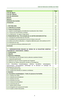Étude des Performances Variétales chez l'Olivier en Tunisie