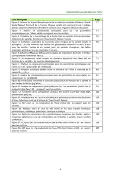 Étude des Performances Variétales chez l'Olivier en Tunisie