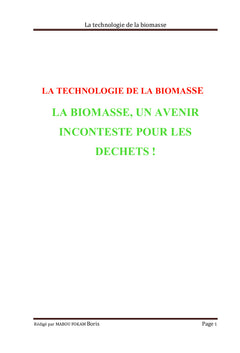LA TECHNOLOGIE DE LA BIOMASSE