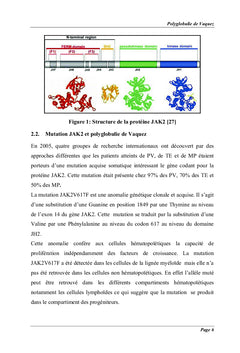 Polyglobulie de Vaquez