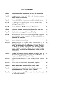 Contribution du flux de mousson de l'été austral sur la cyclogenèse