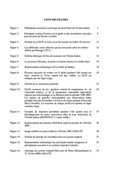 Contribution du flux de mousson de l'été austral sur la cyclogenèse