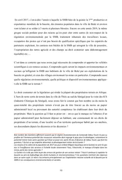La Régulation environnementale de la Société Minière de Boké