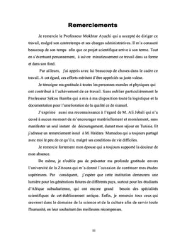 L'islam et la vie associative en Côte d'Ivoire