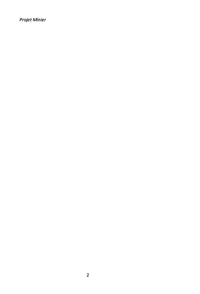 Projet Minier Tome I