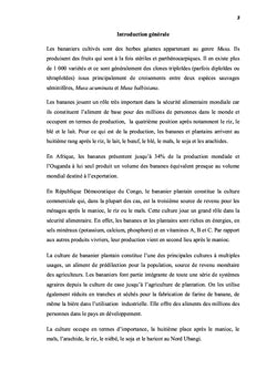 Effet de flambage sur le pouvoir rejetonnant de bananier plantain