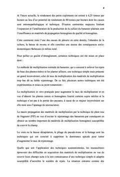 Effet de flambage sur le pouvoir rejetonnant de bananier plantain