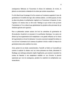 Effet de flambage sur le pouvoir rejetonnant de bananier plantain