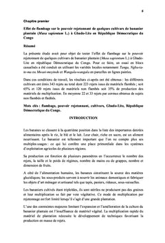 Effet de flambage sur le pouvoir rejetonnant de bananier plantain