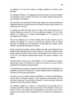 Effet de flambage sur le pouvoir rejetonnant de bananier plantain