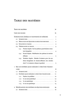 Systèmes de réaction-diffusion avec données non régulières