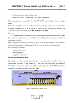 Impact d'huile essentielle de Mentha pulegium sur le Varroa jacobsoni