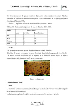 Impact d'huile essentielle de Mentha pulegium sur le Varroa jacobsoni
