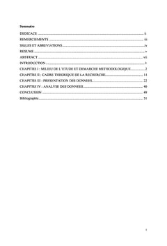 Planification locale et mise en oeuvre des actions de développement