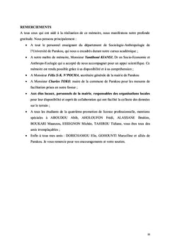 Planification locale et mise en oeuvre des actions de développement