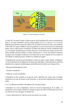 Physiologie Végétale
