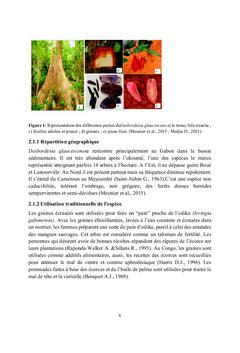 Etude phytochimique, activité anti-radicalaire et composition chimique