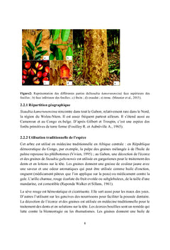 Etude phytochimique, activité anti-radicalaire et composition chimique