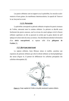 Les Complications Orbitaires des Sinusites Bacteriennes
