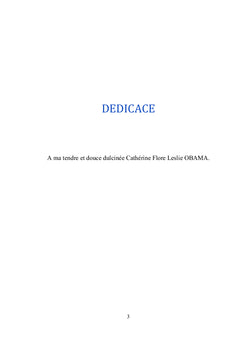 Le droit pénal des marchés publics au Cameroun et en France :