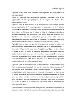 Comportement écophysiologique du pistachier,soumis au stress