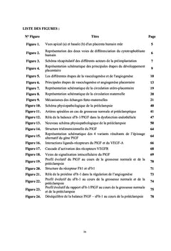 Etude de la prééclampsie : de la Biologie à la Clinique