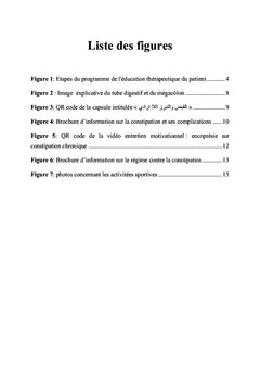 PROGRAMME D'EDUCATION THERAPEUTIQUE D'UN ENFANT ENCOPRETIQUE