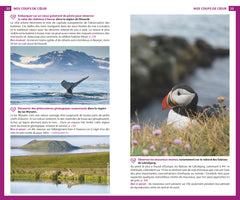 Guide du Routard Islande 2025/26