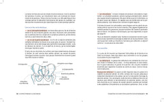 Ma petite routine fitness avant et après bébé