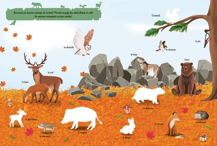 Mon imagier en autocollants : La forêt