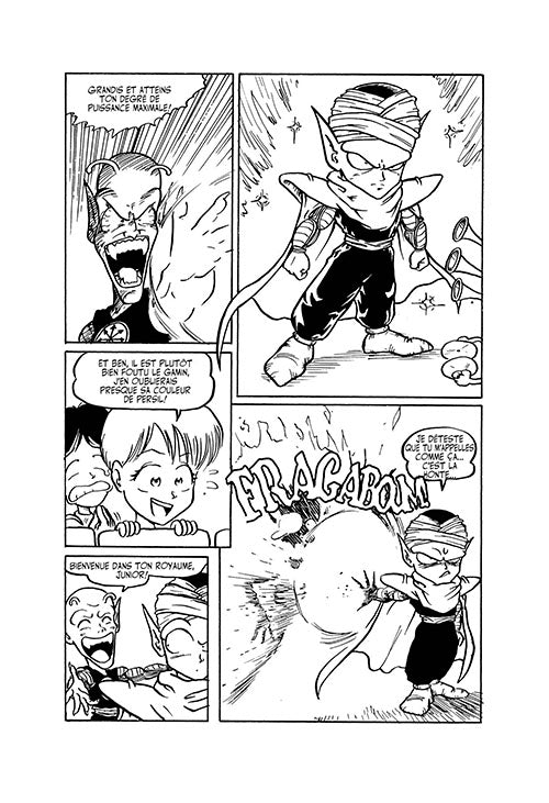 Dragon Fall Ultimate T02