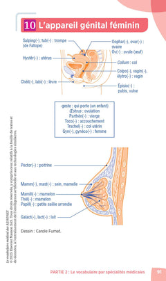 Le vocabulaire médical des AS/AP/AES